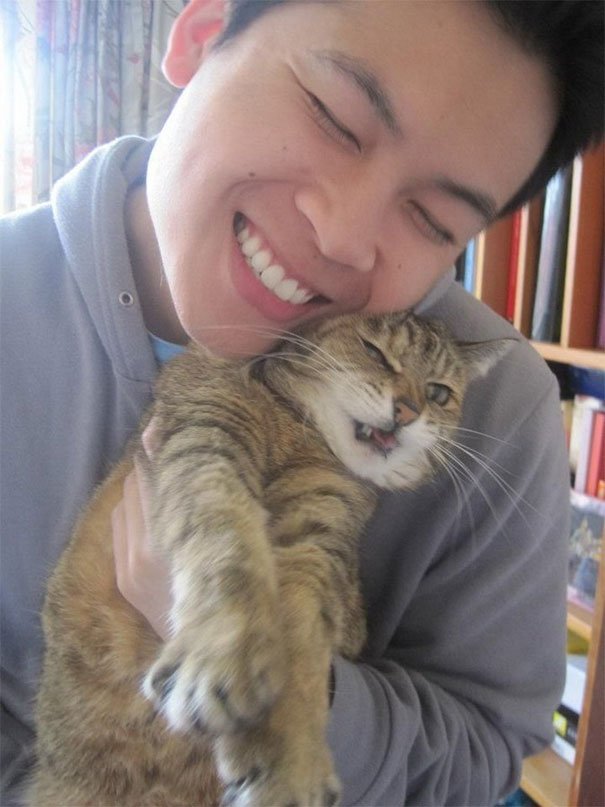 Stop It, Human Stop It, Human