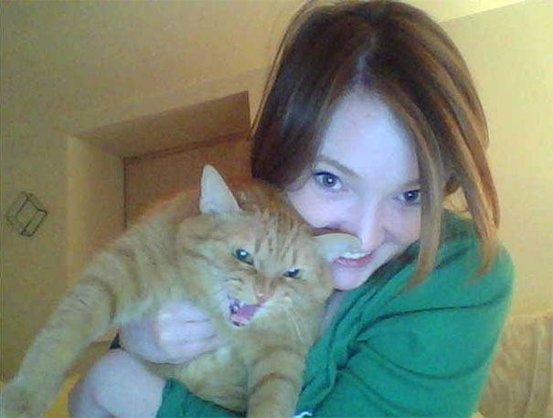 My Sister Tried To Take A Picture With My Cat, George. He Was Not Pleased My Sister Tried To Take A Picture With My Cat, George. He Was Not Pleased