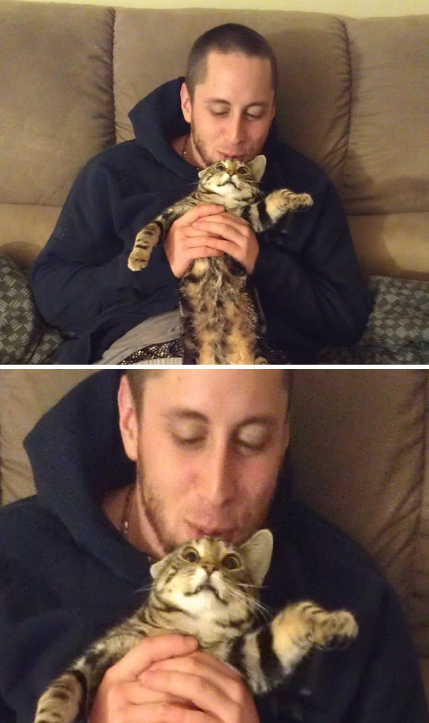 I Tried To Make My Boyfriend Take A Cat Beard Picture... This Was The Result I Tried To Make My Boyfriend Take A Cat Beard Picture... This Was The Result