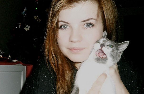 My Cat Hates Me My Cat Hates Me