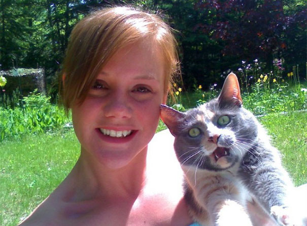 This Cat Hates To Be Held This Cat Hates To Be Held
