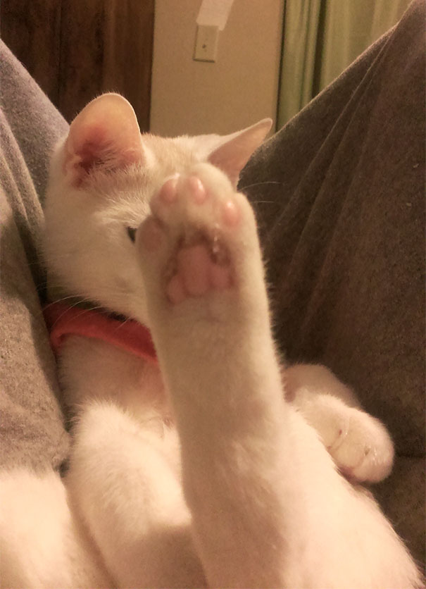 No Photos Please No Photos Please