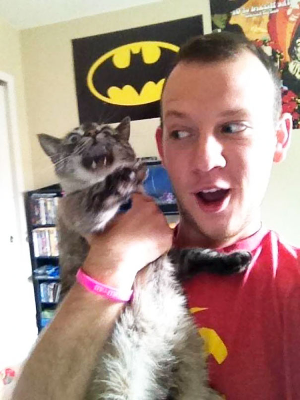 My Cat Hates Taking Selfies With Me My Cat Hates Taking Selfies With Me