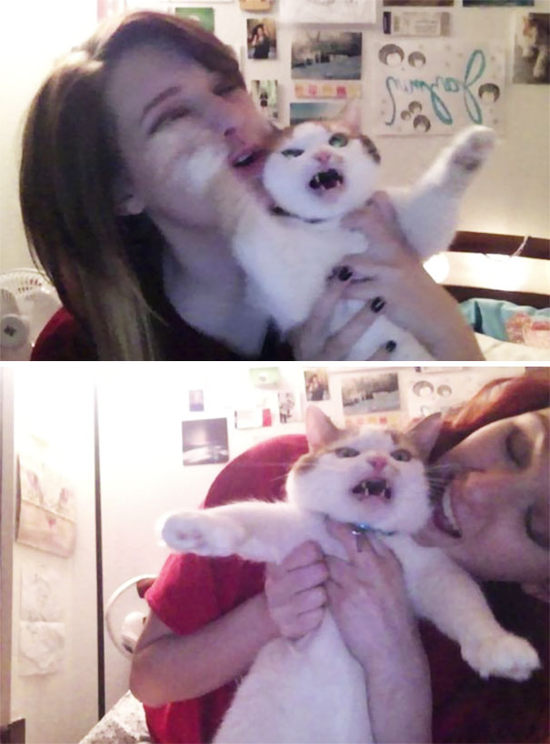 My Cat Hates Taking Selfies With Me My Cat Hates Taking Selfies With Me