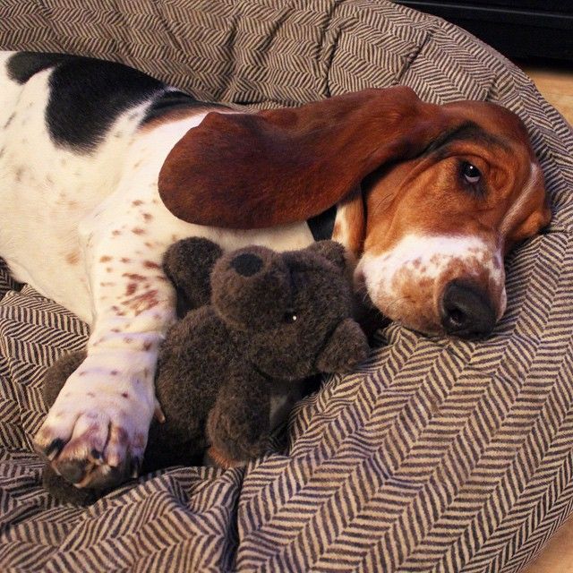 basset-hound-toy