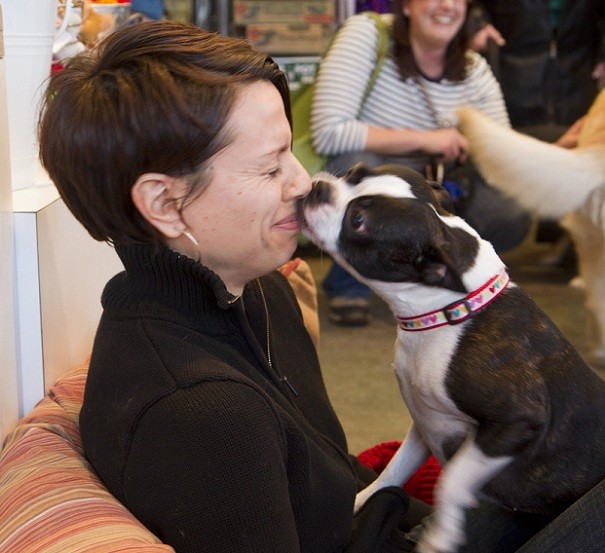 boston-terrier-kisses