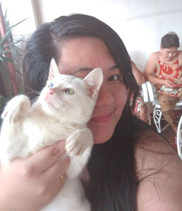 The Struggle To Get A Selfie Where My Cat Looks Like He Only Moderately Hates Me Is Real The Struggle To Get A Selfie Where My Cat Looks Like He Only Moderately Hates Me Is Real