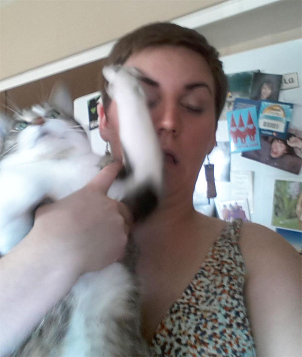 My Cat Loves Me My Cat Loves Me