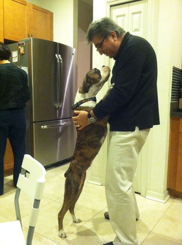 And To Think My Father Didn't Want A Dog And To Think My Father Didn't Want A Dog