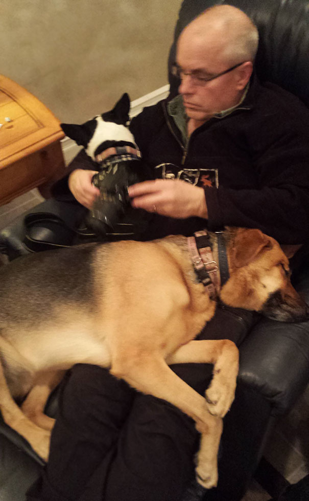 My Dad Insists He's Not A Dog Person My Dad Insists He's Not A Dog Person