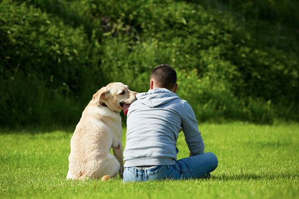 "I Don't Want A Big Dog!" "That Dog Is Not Coming In The House!" "That Dog Better Not Get In Our Bed!"