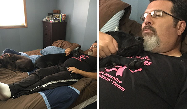 When Your Dad Tries To Act Like He Doesn't Like Your Dogs Because He Thinks They Smell, But Then Your Mom Sends You These Pics When Your Dad Tries To Act Like He Doesn't Like Your Dogs Because He Thinks They Smell, But Then Your Mom Sends You These Pics