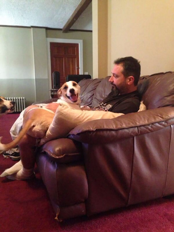 Dad Tries To Say He Doesn't Like The Dogs... I Come Downstairs To This Dad Tries To Say He Doesn't Like The Dogs... I Come Downstairs To This