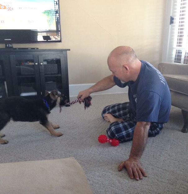 To Everyone Who Knew How Much My Dad Didn't Want A Puppy. Here He Is Just Having A Ball To Everyone Who Knew How Much My Dad Didn't Want A Puppy. Here He Is Just Having A Ball