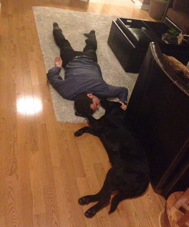 And My Dad Said He Didn't Like The Dog And My Dad Said He Didn't Like The Dog