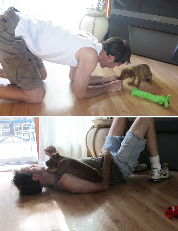 After Having To Put Down Our Dog Of 14 Years, My Dad Was Hesitant About Getting A Puppy. I Think They Needed Each Other After Having To Put Down Our Dog Of 14 Years, My Dad Was Hesitant About Getting A Puppy. I Think They Needed Each Other