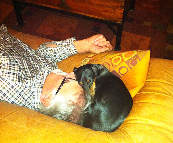 "I Don't Need A Dog!", My Dad Said. Now: Best Buddies Napping Together "I Don't Need A Dog!", My Dad Said. Now: Best Buddies Napping Together