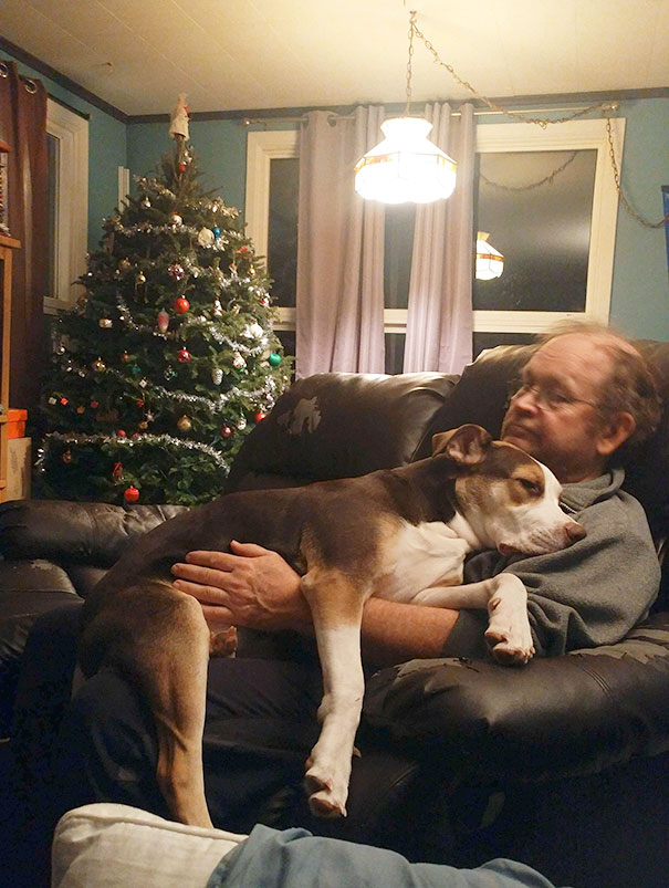 My Dad Who "Doesn't Want Anything To Do With The Dog" My Dad Who "Doesn't Want Anything To Do With The Dog"