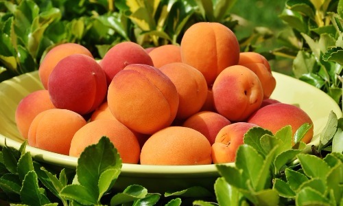 Apricot