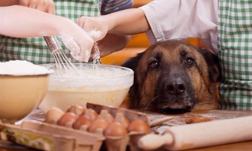 Yeast Dough