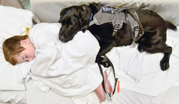 james and mahe in the hospital bed james and mahe in the hospital bed