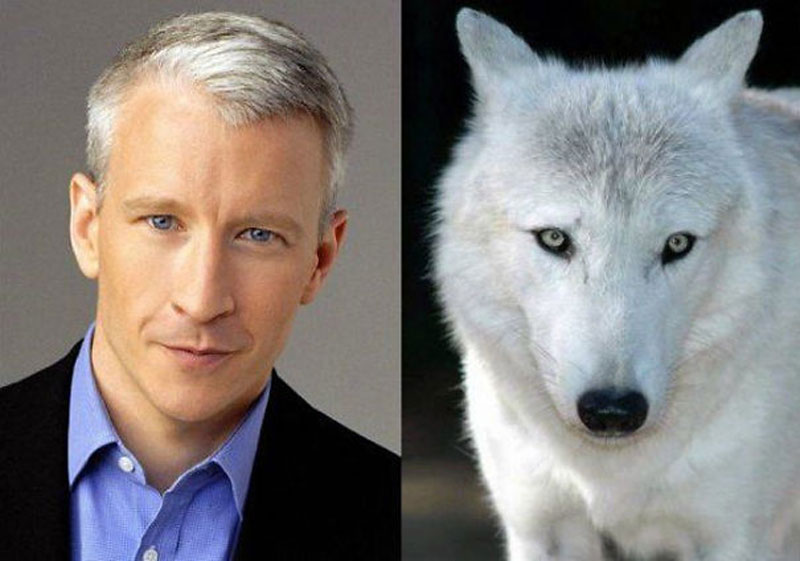 Anderson Cooper