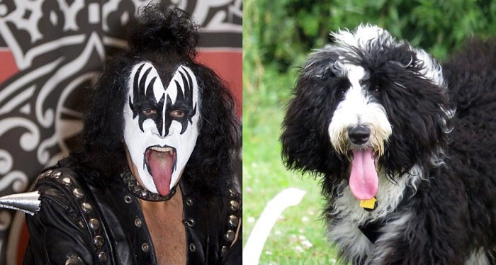 Gene Simmons