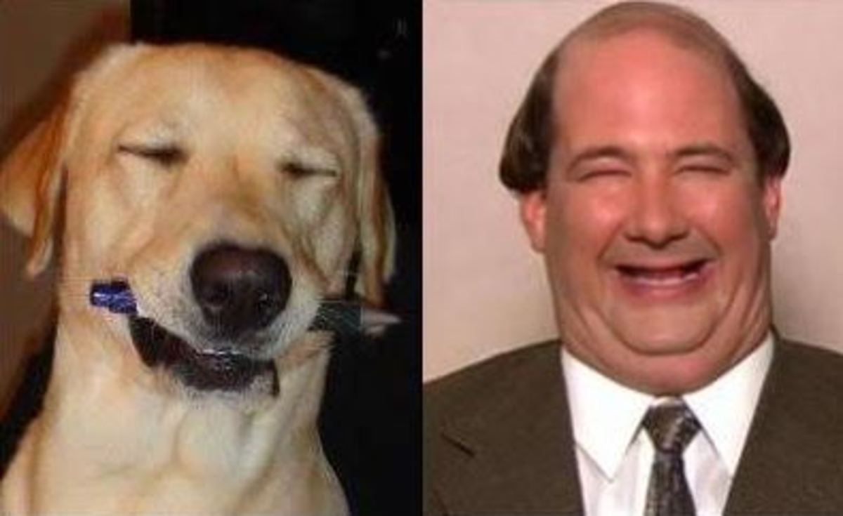 Kevin Malone