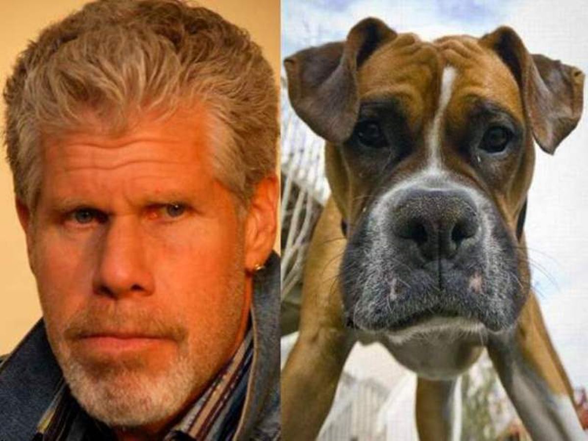 Ron Perlman