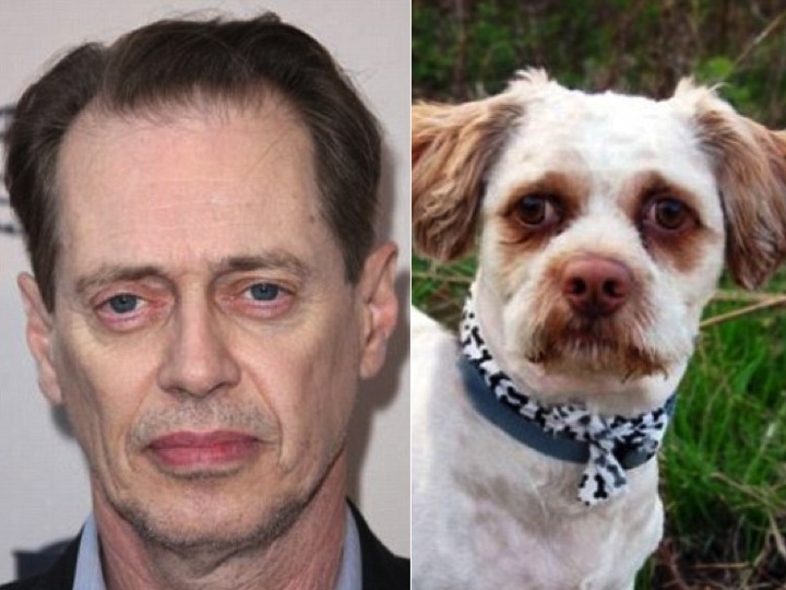 Steve Buscemi