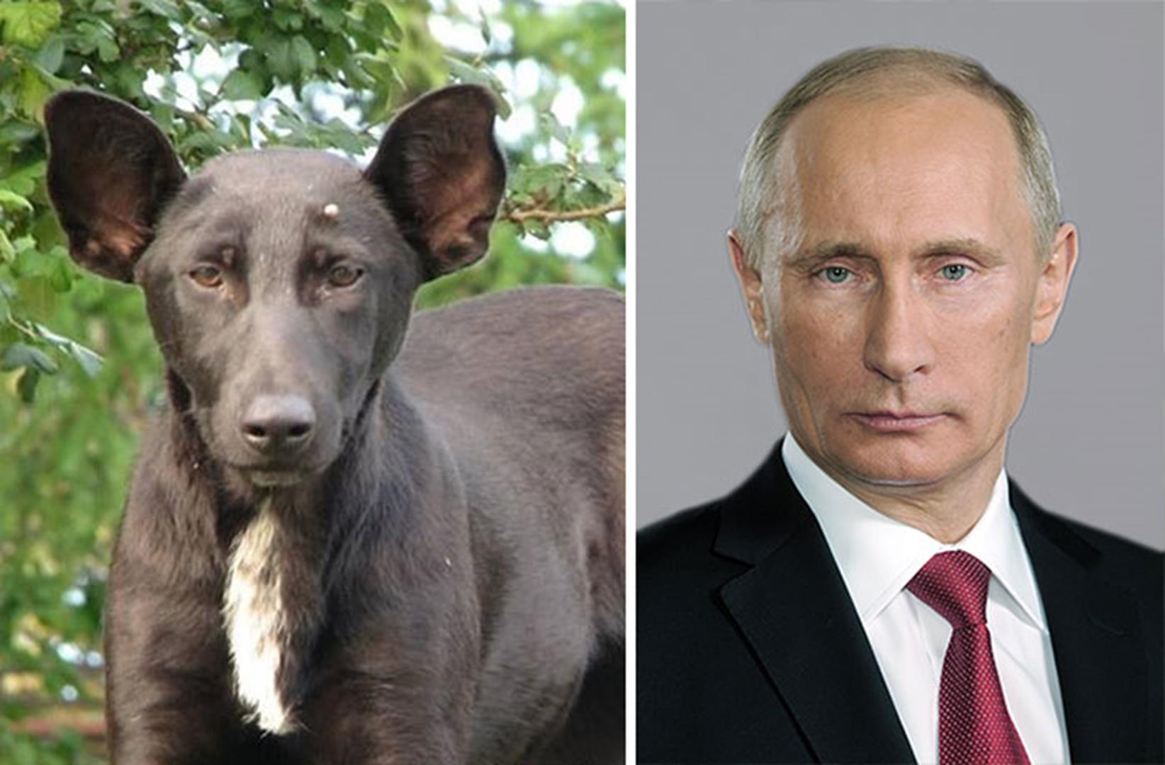 Vladimir Putin