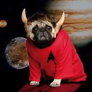 Vulcan-Pug1