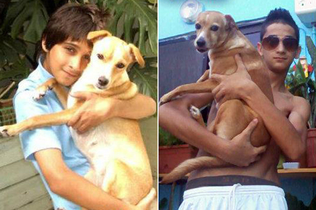 Same Dog Same Guy