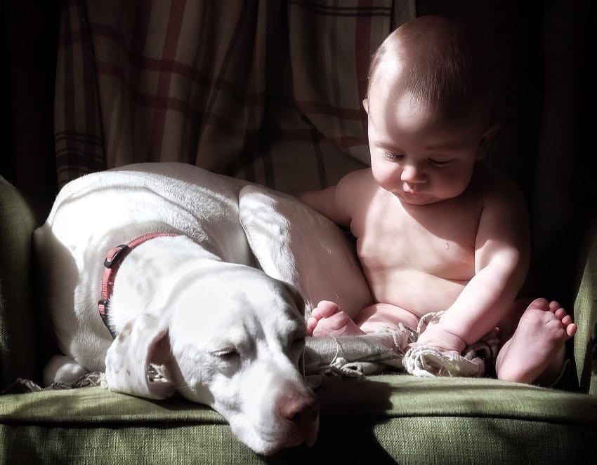 Baby and dog sleeping buds