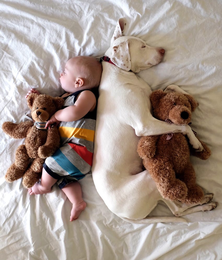 Baby and dog sleeping buds