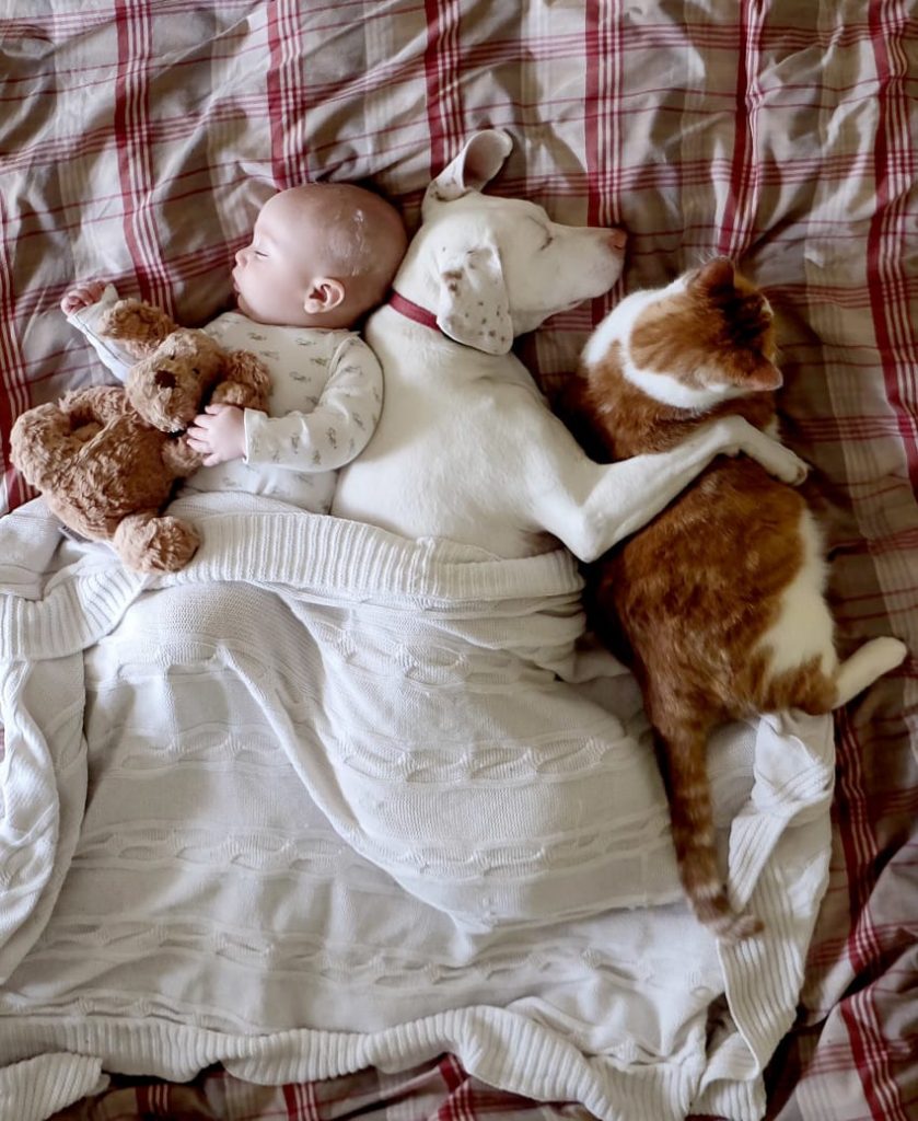 Baby and dog sleeping buds