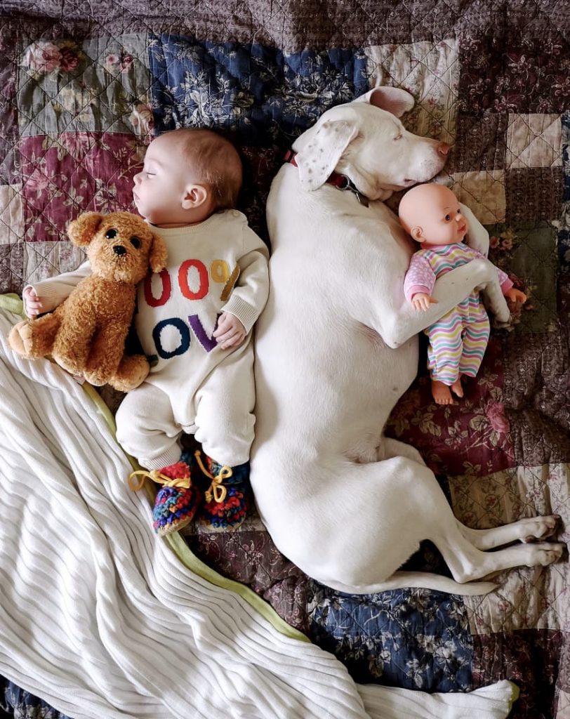 Baby and dog sleeping buds