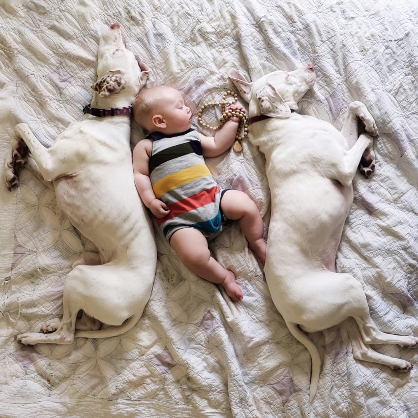 Baby and dog sleeping buds