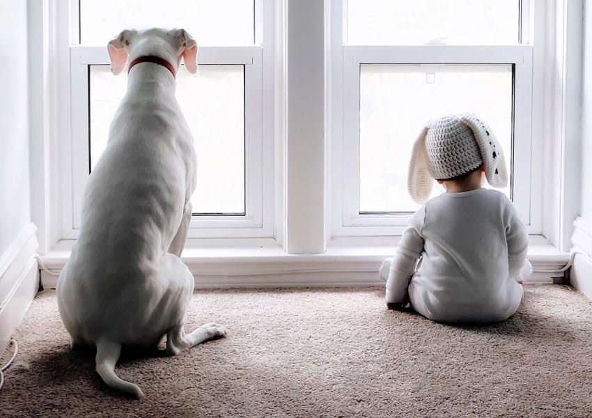 Baby and dog sleeping buds