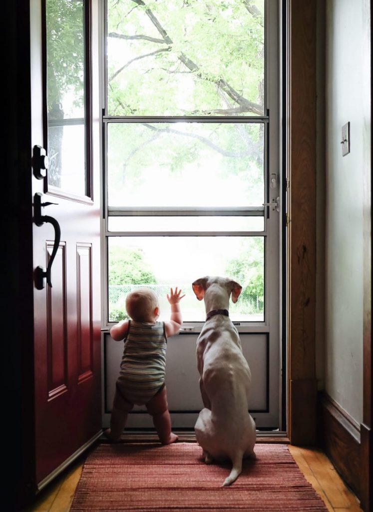 Baby and dog sleeping buds