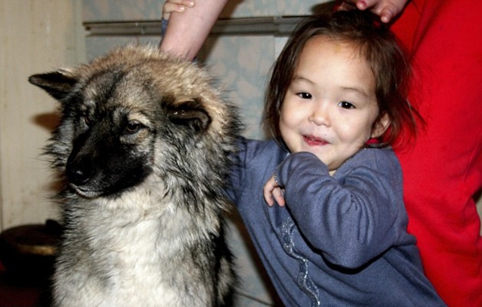 Dog Saves 4-Year-Old Girl Who Got Lost in the Woods for 11 Days - 4