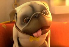 See Why This Short Film About a Pug and a Cleaning Robot Has People Smiling From Ear to Ear