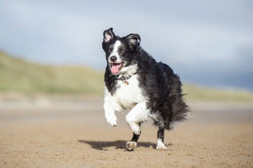 shutterstock_357514409