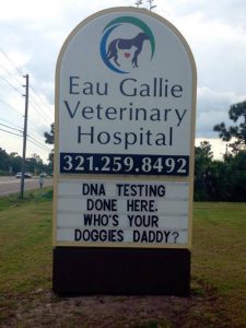 eau-gallie-veterinary-hospital-funny-vet-signs-4