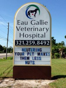 eau-gallie-veterinary-hospital-funny-vet-signs-5