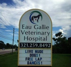 eau-gallie-veterinary-hospital-funny-vet-signs-6