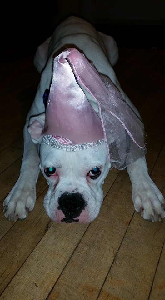 princess-boxer-costume