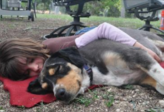 5 Signs That Your Dog Actually Loves You