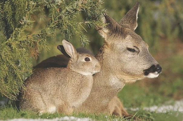Brother From Another Mother Brother From Another Mother