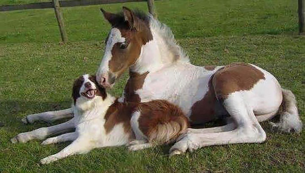 Brother From Another Mother Brother From Another Mother